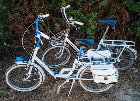 Dernière salve avant reprise L1032976.jpg