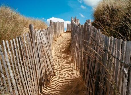 Dernière salve avant reprise L1032849.jpg