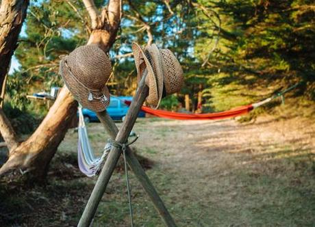 Dernière salve avant reprise L1032937.jpg