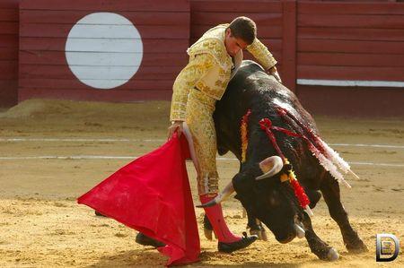 ROQUEFORT : DECEVANTE NOVILLADA IMGP8204