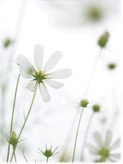 Nature sous scellés Nature sous scellés