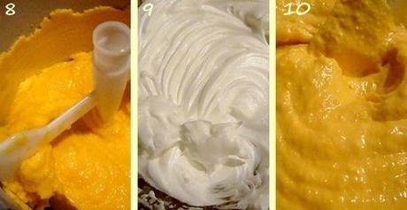 Sorbet abricot à l'italienne abri en cours