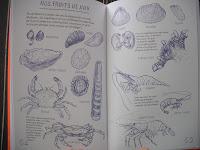 On part vivre sur une île déserte On part vivre sur une île déserte