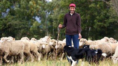 L’amour est dans le pré 2013, épisode 10 : Dernier jour à la ferme pour les prétendants L'amour est dans le pre saison 8 sur m6