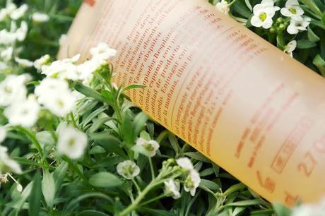 Gel Nettoyant Éclat du Jour par Clarins Gel Nettoyant Clarins : Eclat du Jour