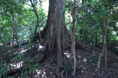 2#京都Kyoto 1&2 2#京都Kyoto 1&2