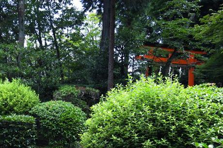 2#京都Kyoto 1&2 2#京都Kyoto 1&2