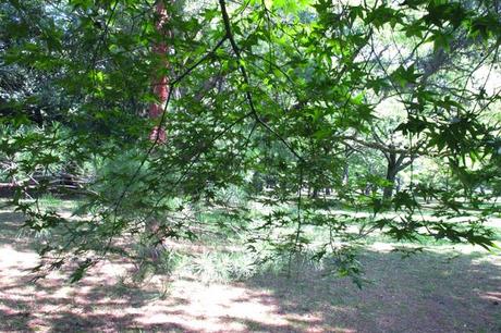 2#京都Kyoto 1&2 2#京都Kyoto 1&2