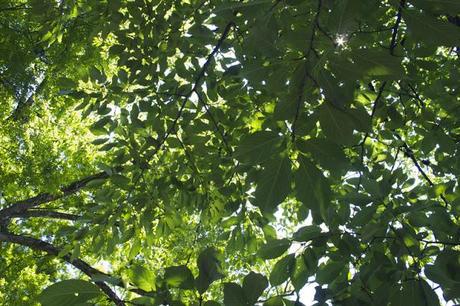 2#京都Kyoto 1&2 2#京都Kyoto 1&2