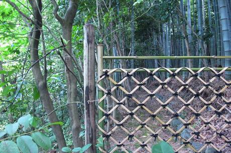 2#京都Kyoto 1&2 2#京都Kyoto 1&2