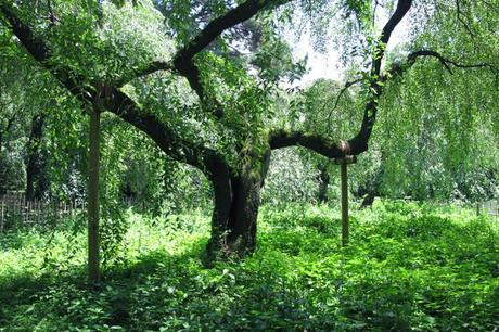 2#京都Kyoto 1&2 2#京都Kyoto 1&2