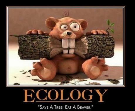 Quand l’ultra-écologie bousille l’économie ecology save a tree eat a beaver
