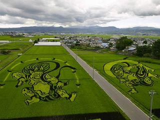 Tanbo art_01 Tanbo art_01
