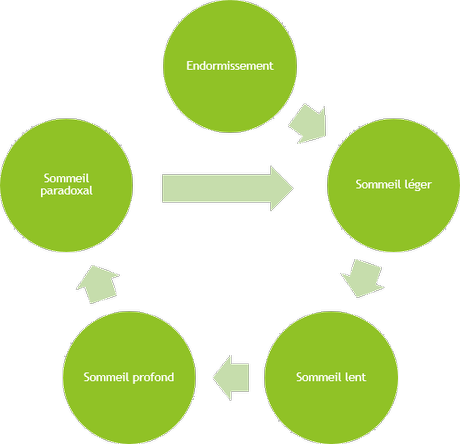Créer des listes originales avec les graphiques SmartArt de PowerPoint Graphique smarart Cycle simple
