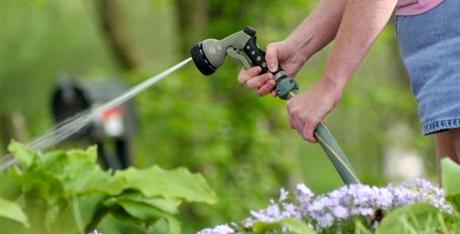 arroser-potager L’arrosage, c’est tout un art !