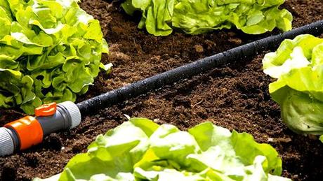 tuyauporeaux L’arrosage, c’est tout un art !