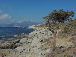 DSCN1124.JPG Promenade en bord mer