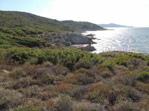DSCN1153.JPG Promenade en bord mer