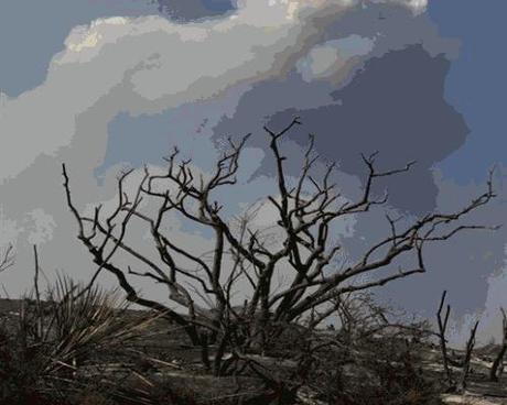 Entre l'eau et le feu Entre l'eau et le feu