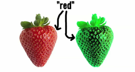 Red-Strawberry
