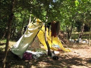 Tu sais que tu vis vraiment à la roots quand ...(3) 2013-1374.JPG