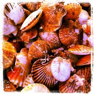 UN DIMANCHE D'ETE AU MARCHE Instagram-1567.JPG