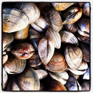 UN DIMANCHE D'ETE AU MARCHE Instagram-1587.JPG