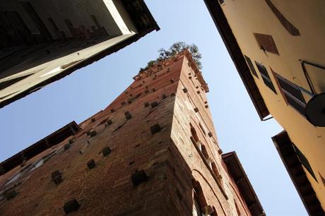 Lucca (IT) lucca2