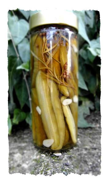 Comcombres marinés au vinaigre au miel SAM_1603.jpg