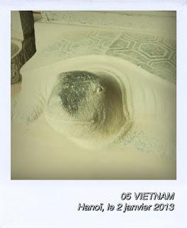 05 | A la recherche de la ptite bête au VIETNAM