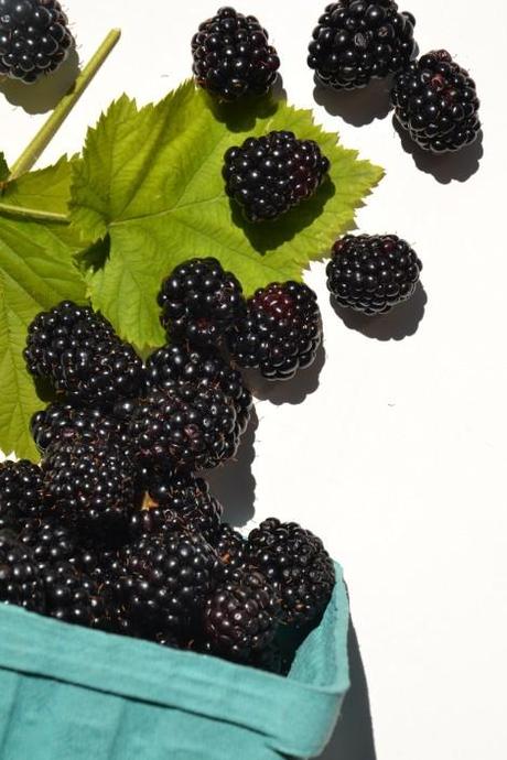 Tartelettes à la mûre & aux nectarines { Vegan } Douceurs-sucrees 5032-copie-1