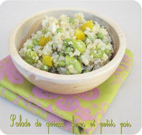 salade quinoa fève (scrap)
