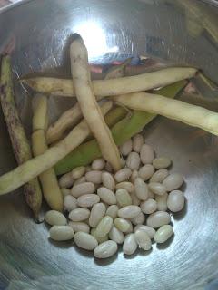 ça sent la rentrée, alors il est temps de préparer l'hiver  : les haricots coco de Paimpol