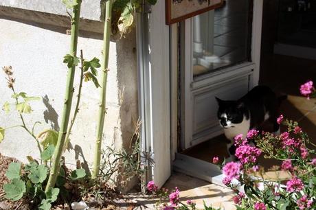 Brèves de Vacances Brèves de Vacances