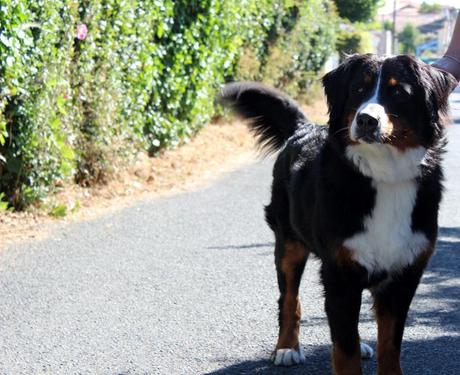 Brèves de Vacances Brèves de Vacances