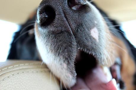 Brèves de Vacances Brèves de Vacances