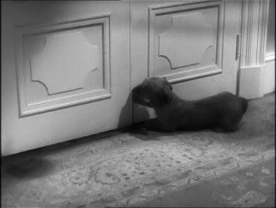 Hitchcock. Intégrale. 18ème film Hitchcock. Intégrale. 18ème film