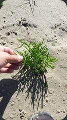 20130818_112630 20130818_112630