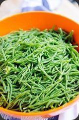 Salicorne-9 Salicorne-9