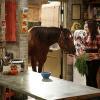 2 Broke Girls : Le premier épisode de la saison 3 en photos ! 2 Broke Girls : Le premier épisode de la saison 3 en photos !