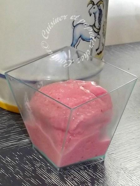 Frozen Yogurt à la fraise DSCF6575