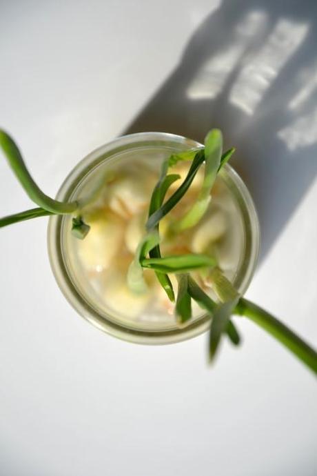 Nouilles asiatiques aux légumes, pousses d'ail et gomasio Ail germé5