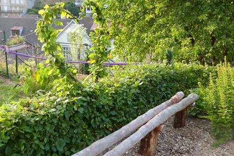 Jardins en terasses. Jardins en terasses.