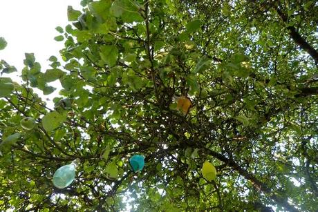 Jardins en terasses. Jardins en terasses.