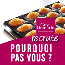 Nouveau Catalogue Guy Demarle septembre 2013 est arrivé Nouveau Catalogue Guy Demarle septembre 2013 est arrivé