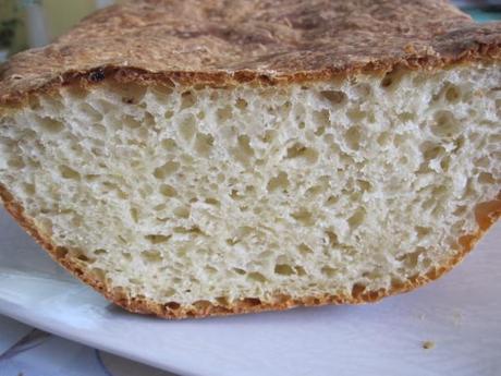 Top 5 du mois d'août 9-3458.JPG