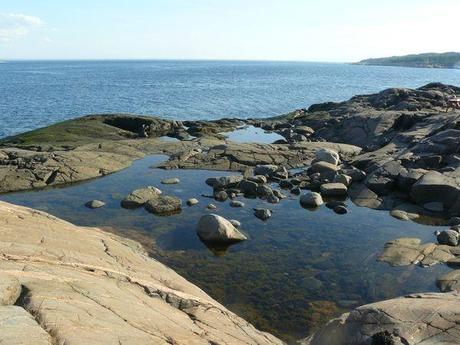 Canada Baleines Bergeronnes Mer et Monde (5)