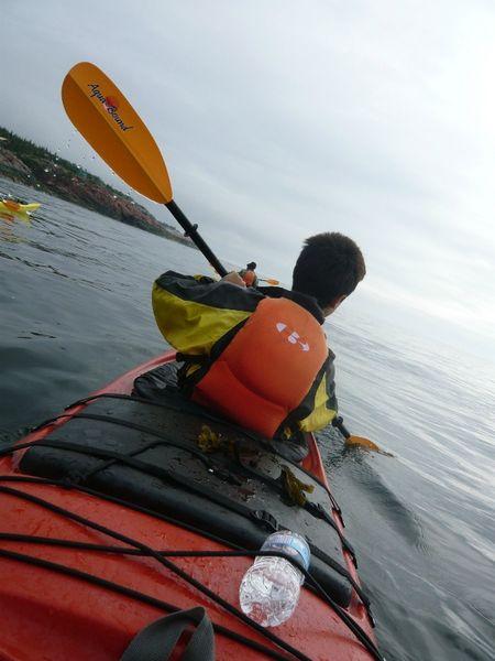 Canada Baleines Bergeronnes Mer et Monde kayaks (3)