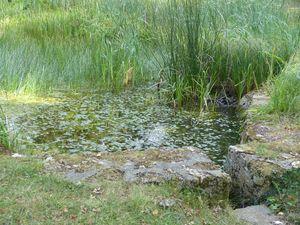 Port-Royal des Champs, sérénité et recueillement P1110295