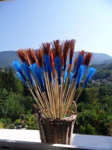 Les Balais de Fernand bouquet Fernand